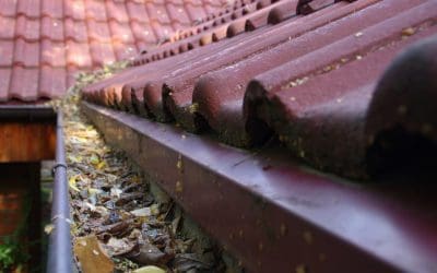 6 Weekend Home Improvement Projects
