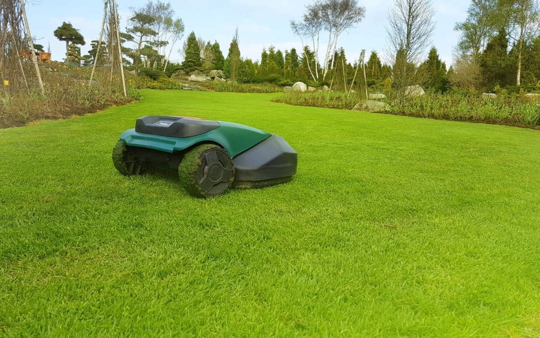 spring lawn maintenance